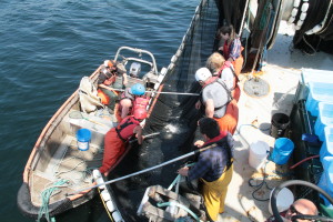 bc-seiner