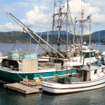 boats-at-dock
